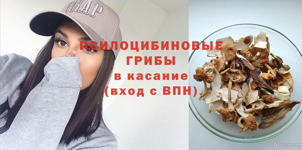 тгк Новозыбков