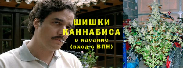 тгк Новозыбков