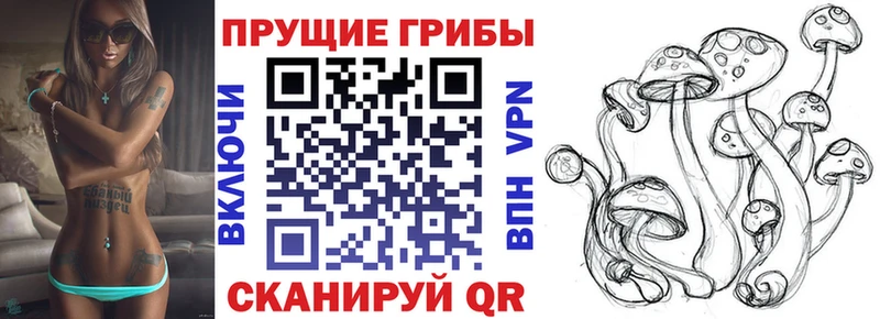 закладка  Новое Девяткино  Псилоцибиновые грибы Psilocybe 