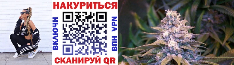 как найти   Новое Девяткино  Шишки марихуана семена 